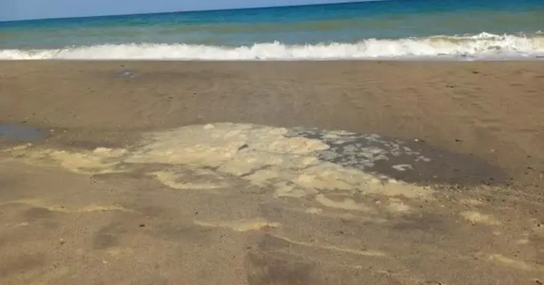 Massimiliano Lepera: “La particolare situazione delle acque del nostro mare” images Massimiliano Lepera: “La particolare situazione delle acque del nostro mare”