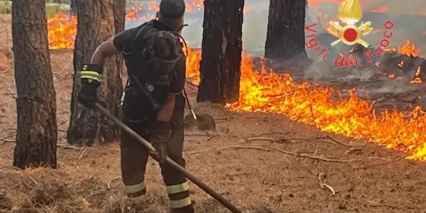 Vigili del fuoco alle prese con un vasto incendio a Bagaladi images Vigili del fuoco alle prese con un vasto incendio a Bagaladi