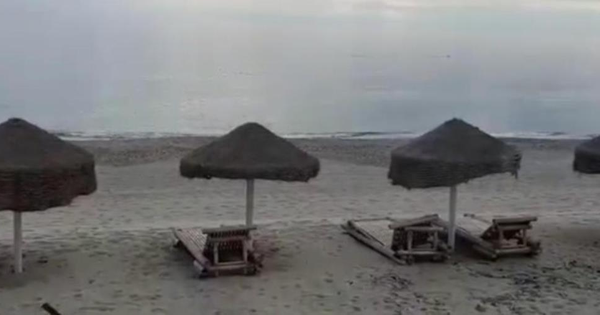 images Montauro. Delfini danzano davanti allo stabilimento balneare DaDaDa beach 