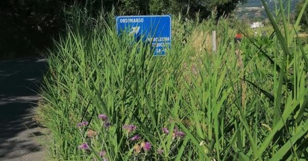 images Abbandono strade. Anas incontra Saccomanno (Lega) per valutare gli interventi di ripristino e manutenzione