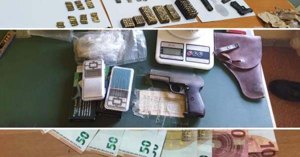 images Rosarno, sequestrata piantagione di droga 