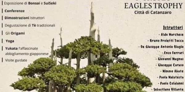 Catanzaro, al Parco della Biodiversità la festa del Bonsai images Catanzaro, al Parco della Biodiversità la festa del Bonsai
