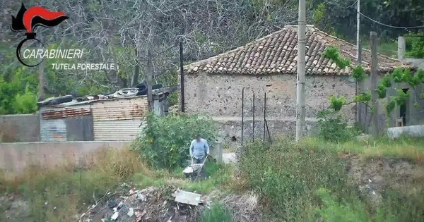 images Reggio, abbandono di rifiuti nel torrente Sant’Agata: ripresi dalle telecamere 