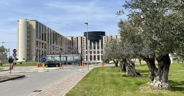 Spesa dei fondi comunitari, giovedì 6 luglio il Comitato di Sorveglianza images Spesa dei fondi comunitari, giovedì 6 luglio il Comitato di Sorveglianza