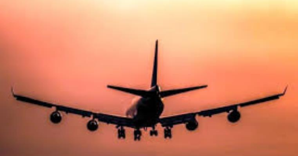 images Caro trasporti, Carito: "Il regalo sotto l’albero, un biglietto per tornare a casa"