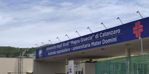 Aou Mater Domini. Nominati i garanti che decideranno sulla sospensione dei prof: "almeno un paio a rischio" images Aou Mater Domini. Nominati i garanti che decideranno sulla sospensione dei prof: "almeno un paio a rischio"
