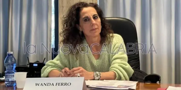 images Scoperto arsenale nel Reggino, il plauso del sottosegretario Ferro (FdI) 