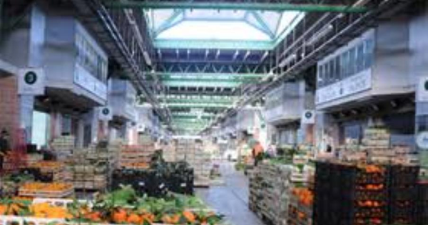 Undici consiglieri comunali chiedono al sindaco Abramo di riaprire il Comalca da domenica images Undici consiglieri comunali chiedono al sindaco Abramo di riaprire il Comalca da domenica