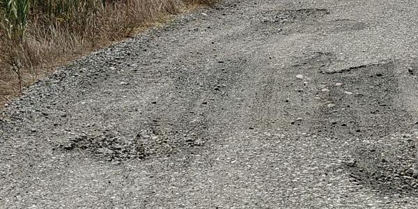 Catanzaro, i residenti di via Tagliamento, 4: "Abbandonati da 20 anni vorremmo un po' di riguardo nei nostri confronti" images Catanzaro, i residenti di via Tagliamento, 4: "Abbandonati da 20 anni vorremmo un po' di riguardo nei nostri confronti"