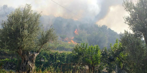 images Incendio a Reggio: in azione la task force guidata da Calabria Verde