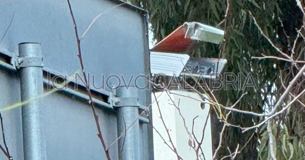 Multa da autovelox a Simeri Crichi annullata: il giudice di pace accoglie il ricorso di un automobilista images Multa da autovelox a Simeri Crichi annullata: il giudice di pace accoglie il ricorso di un automobilista