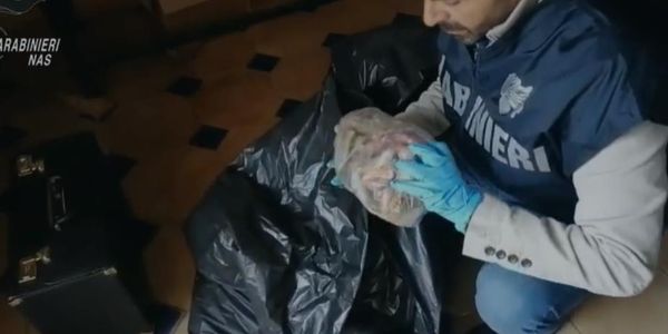 images Muffa e sporcizia in depositi e laboratori, sequestrati nel Reggino 700 chili di carne e salumi