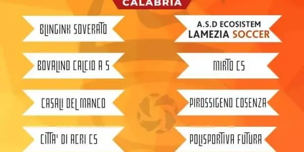 Futsal, Ecosistem Lamezia Soccer: al via il 15 ottobre il campionato Under 19 images Futsal, Ecosistem Lamezia Soccer: al via il 15 ottobre il campionato Under 19