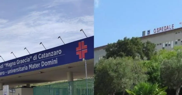 Dulbecco, ancora occhi puntati sull'intramoenia: "Rilevate incongruenze su contratti e codici" images Dulbecco, ancora occhi puntati sull'intramoenia: "Rilevate incongruenze su contratti e codici"