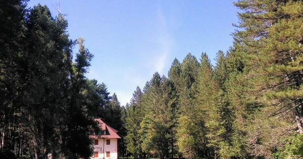 images Cariati, appello del pizzaiolo "Pedro's" ai commercianti: "Non si perda identità" 