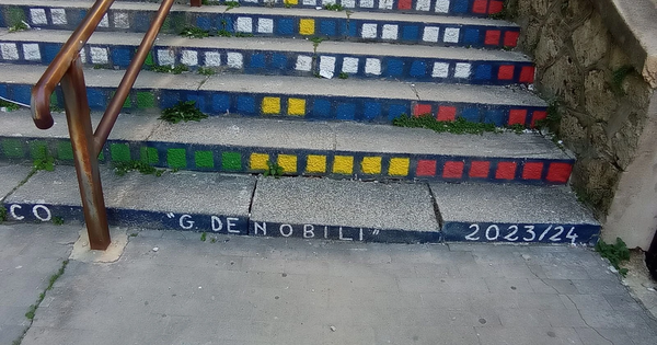 Scalinata San Leonardo di Catanzaro senza manutenzione: professionista cade per un gradino in dislivello e finisce in ospedale images Scalinata San Leonardo di Catanzaro senza manutenzione: professionista cade per un gradino in dislivello e finisce in ospedale