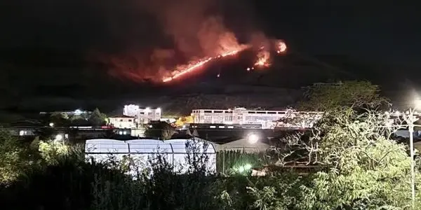 images Catanzaro, in fiamme la collina di Germaneto 