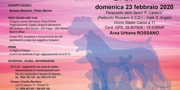 images Cinofilia, domenica 23 febbraio a Corigliano-Rossano attesi i migliori cani di razza e con pedigree da tutto il Sud Italia