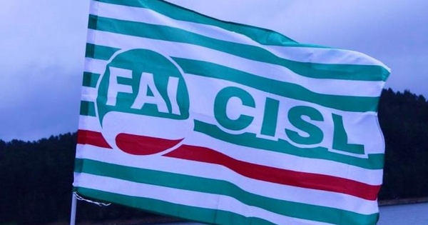 images Incidente a imprenditore agricolo a Paravati, Lucia (Fai Cisl Magna Grecia): "Garantire sicurezza sui luoghi di lavoro"