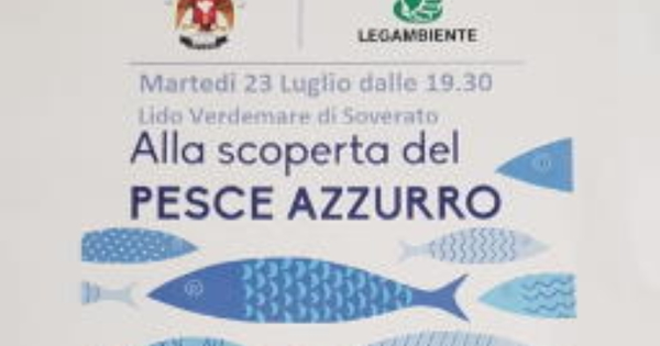 images La Giunta approva i lavori di efficientamento energetico del liceo Galluppi e di Palazzo di Vetro