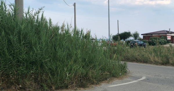 images Domani inaugurazione del murales del progetto Open space all'istituto Telesio 
