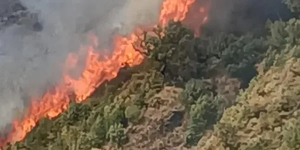 Emergenza incendi a Gimigliano: da 30 ore fiamme senza sosta  images Emergenza incendi a Gimigliano: da 30 ore fiamme senza sosta