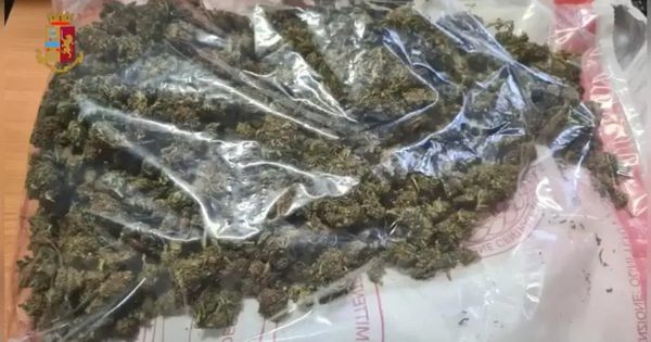 Pizzo, detenevano mezzo chilo di marijuana: arrestati images Pizzo, detenevano mezzo chilo di marijuana: arrestati