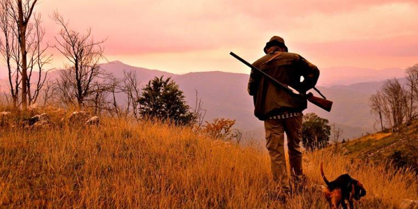 images Dinami, ferito durante una battuta di caccia al cinghiale: è grave
