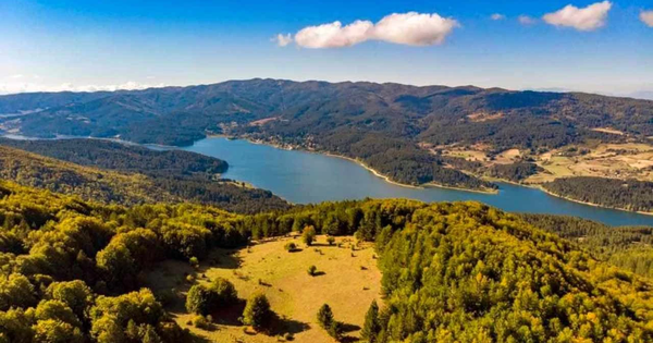 Tutela dell'ambiente, dalla Regione 3 milioni di euro alle associazioni ambientaliste images Tutela dell'ambiente, dalla Regione 3 milioni di euro alle associazioni ambientaliste