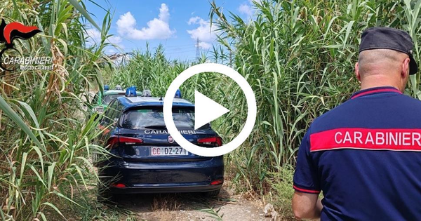 images Lotta all’inquinamento nei fiumi, denunce nel Reggino