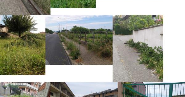 images Girifalco. Vonella (FI): "La Festa della Repubblica per i cittadini sarebbe la caduta della giunta Cristofaro" 