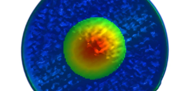 images Fibre ottiche più affidabili grazie a raggi X e IA: il metodo innovativo nella ricerca di Unical 