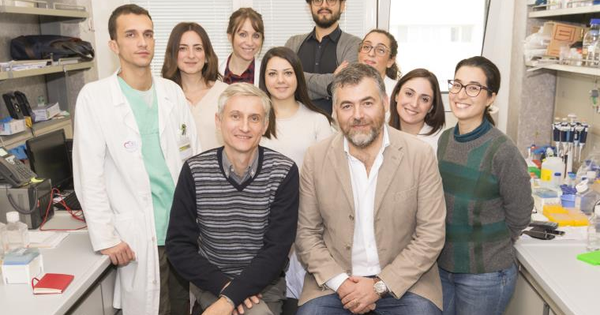 Scoperta l’origine dei tumori del cuore dal laboratorio di Cardiologia Molecolare e Cellulare dell’Università Magna Graecia di Catanzaro images Scoperta l’origine dei tumori del cuore dal laboratorio di Cardiologia Molecolare e Cellulare dell’Università Magna Graecia di Catanzaro