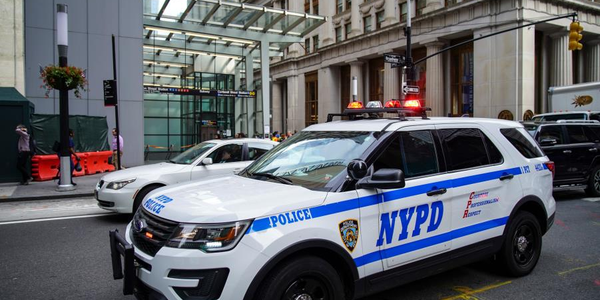 images Report DIA. La 'ndrangheta dei due mondi: dal Canada al Sud America, passando per gli States 