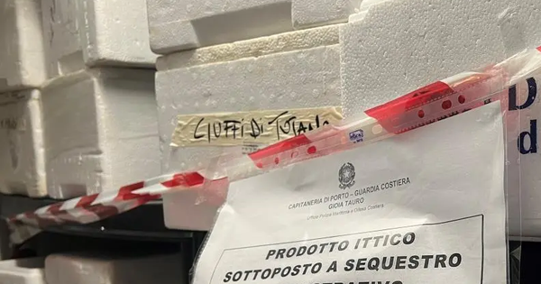 images Palmi, sequestrati 140 kg di prodotto ittico non tracciato in un ristorante della costiera