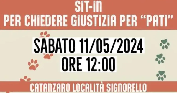 Cane massacrato a Signorello, sabato sit-in per chiedere giustizia images Cane massacrato a Signorello, sabato sit-in per chiedere giustizia