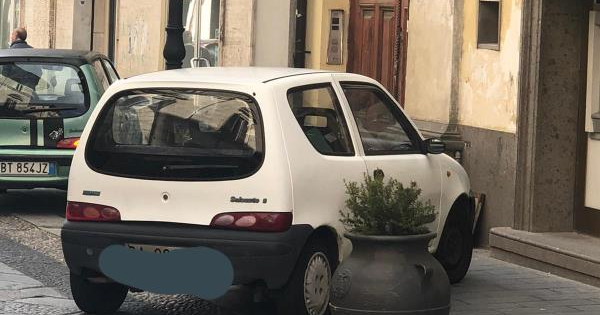 images Parco della Sila, il commissario Curcio nominato presidente