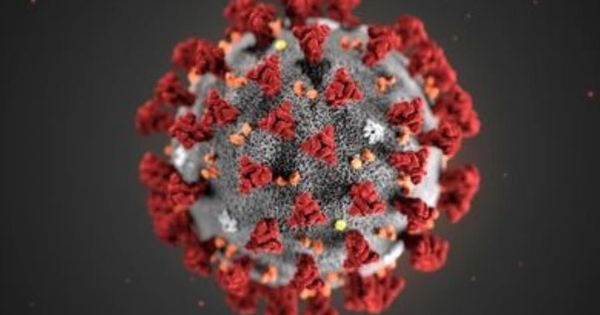 images Coronavirus. Il bollettino: 213 nuovi casi, in calo i ricoveri in area medica (ELENCO PER PROVINCE)