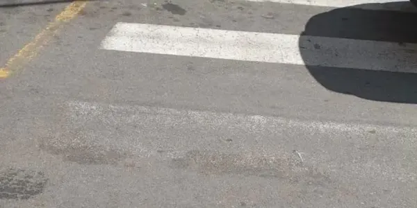 images Strisce pedonali, Silipo: “Chi tutela i cittadini?”