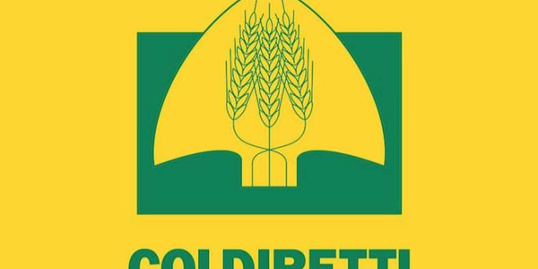 images Sciopero dei tir, Coldiretti: "Danni incalcolabili tra scaffali vuoti, cibo buttato, spesa in aumento e alimenti per la zootecnia fermati"