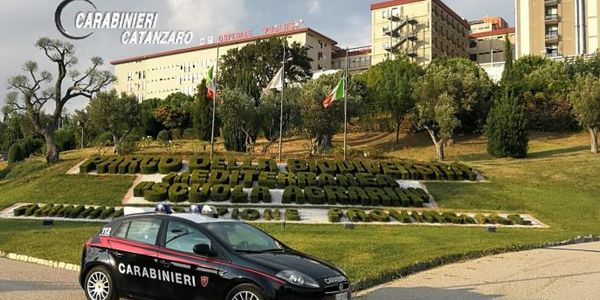 Catanzaro. Furbetti del reddito di cittadinanza: 56 persone denunciate images Catanzaro. Furbetti del reddito di cittadinanza: 56 persone denunciate