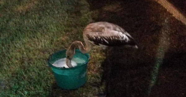 Due guide turistiche abusive scoperte a Reggio Calabria, denunciate images Due guide turistiche abusive scoperte a Reggio Calabria, denunciate