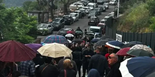 Catanzaro, nessuna barbarie nei confronti di Pati: il cane è stato ucciso a morsi da altri cani images Catanzaro, nessuna barbarie nei confronti di Pati: il cane è stato ucciso a morsi da altri cani