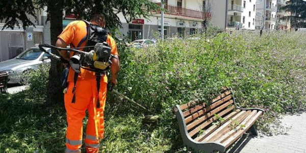 images Appalto verde pubblico Catanzaro, il Comune ha scelto il direttore dell'esecuzione del contratto 