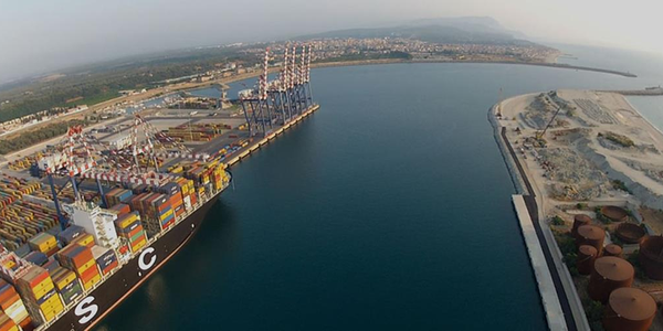 images Green pass. Al porto di Gioia Tauro solo 20 rifiutati ai tornelli: oggi attività regolare