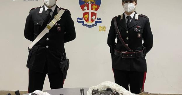 Palmi. In casa con due pistole e animali protetti: in manette un 52enne images Palmi. In casa con due pistole e animali protetti: in manette un 52enne