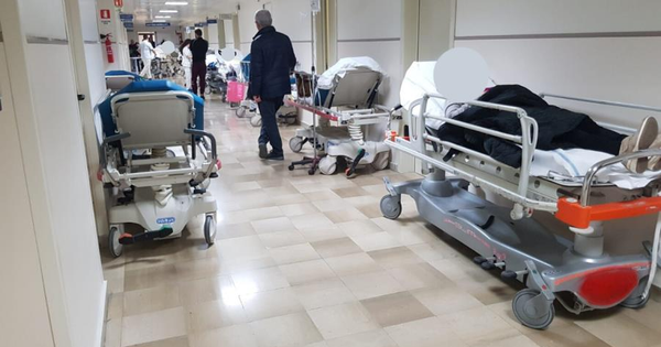 Fratelli d'Italia cresce in provincia di Catanzaro, inaugurato il circolo di Pianopoli sotto la guida di Giuseppe Lucia images Fratelli d'Italia cresce in provincia di Catanzaro, inaugurato il circolo di Pianopoli sotto la guida di Giuseppe Lucia