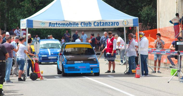 images Crotone, la Polizia trova una tartaruga per strada  