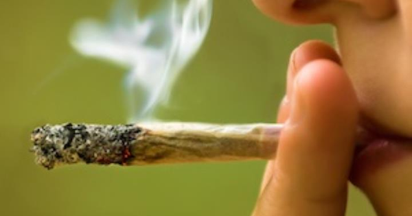 images Catanzaro, arrestato con 58 grammi di marijuana a casa 