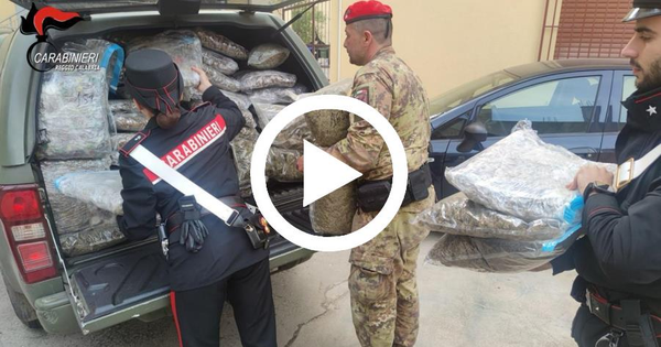 In un casolare oltre 188 kg di droga, un fucile e munizione: un arresto nel Reggino images In un casolare oltre 188 kg di droga, un fucile e munizione: un arresto nel Reggino